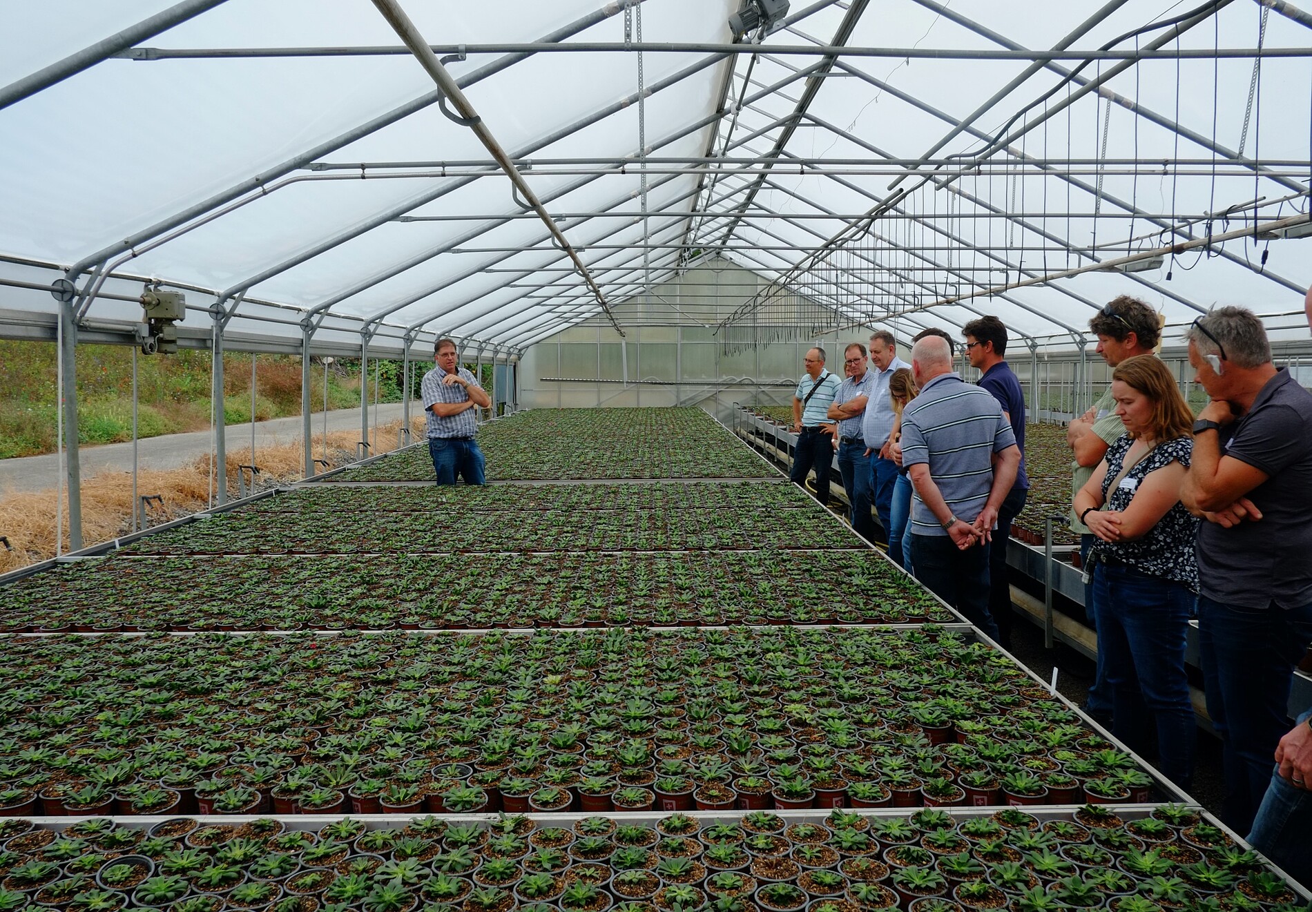 Bildquelle: JardinSuisse Fachbereich Produktion Zierpflanzen